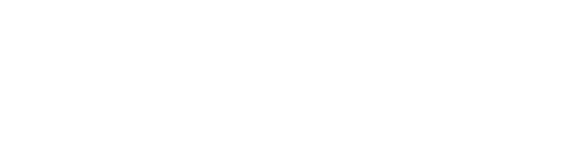 Orion Srl